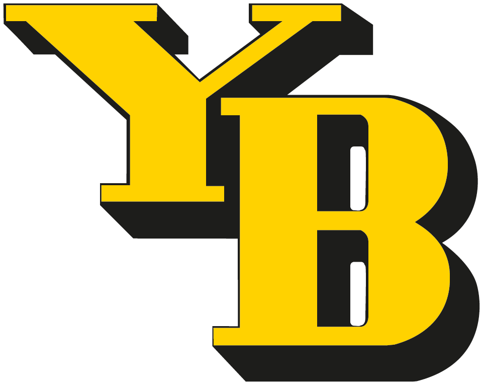 bscyb.ch